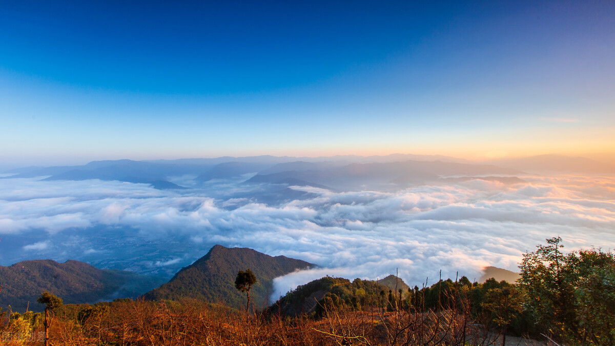 涉密項(xiàng)目負(fù)責(zé)人有哪些保密職責(zé)
