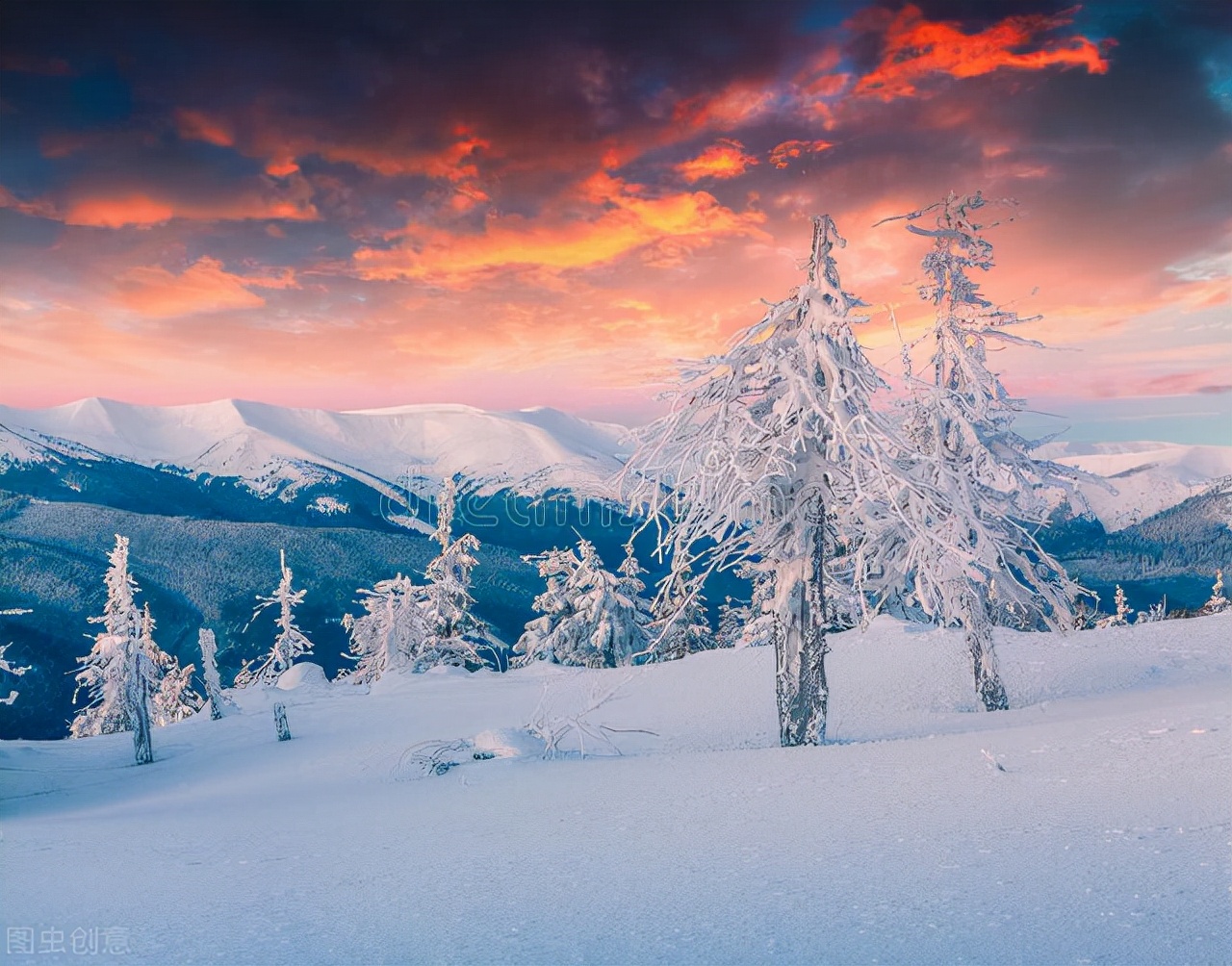 安全保密責(zé)任書（模板）