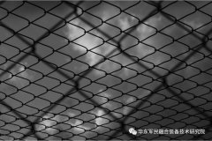 入籠的16只“軍老虎”長啥樣