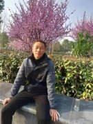 潮頭聽濤｜父親對我說“謝謝”